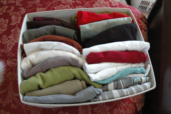 Organized Bin of Clothes